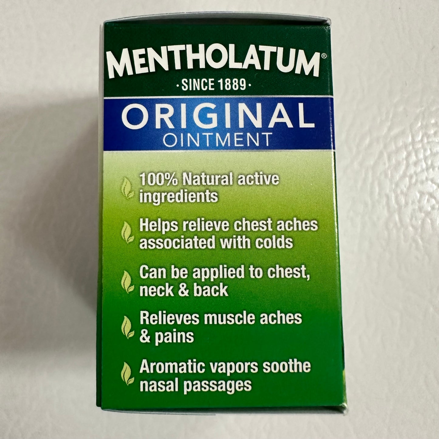 Mentholatum Ointment (1 oz)