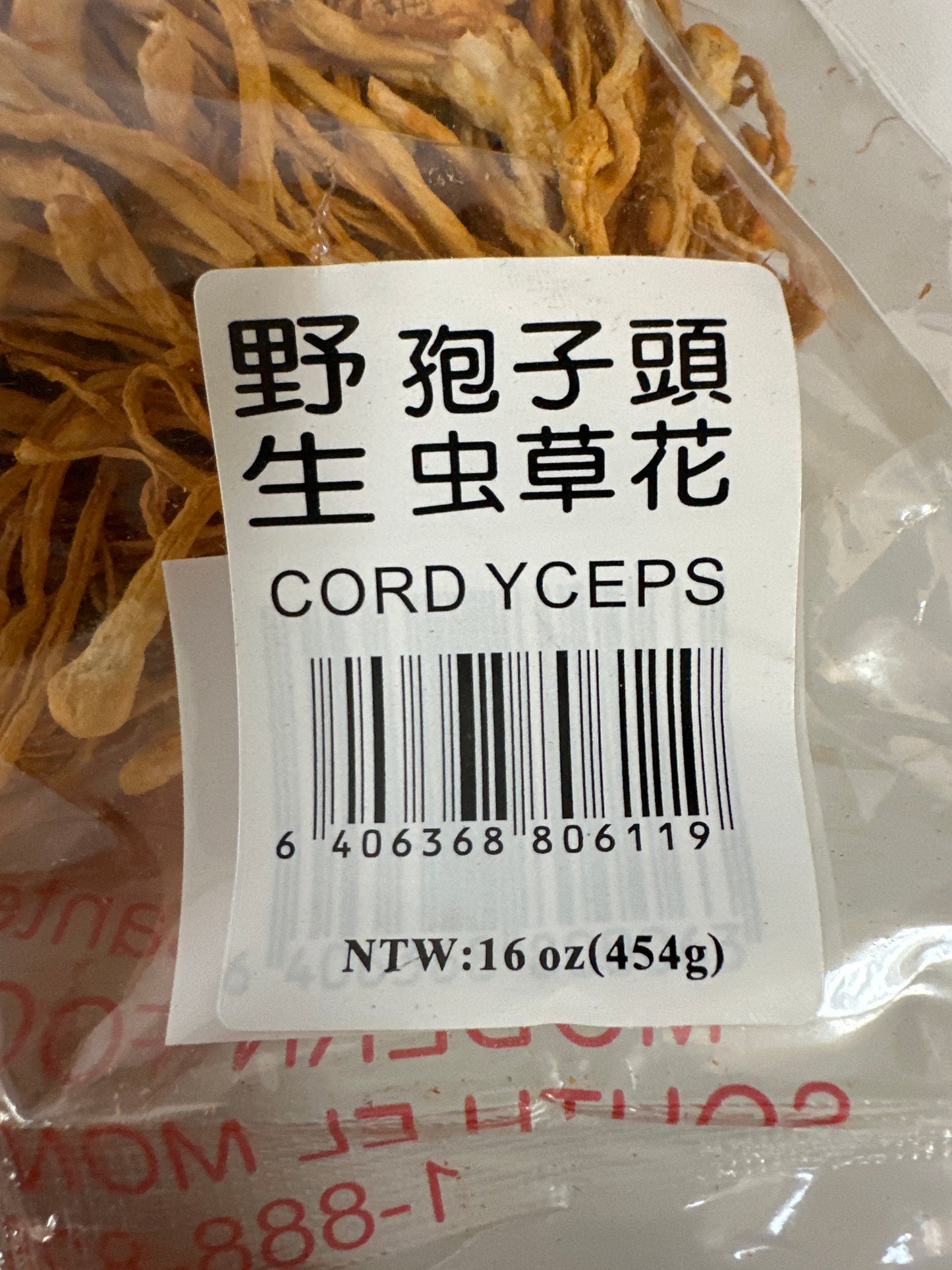 Cordyceps (16 oz)