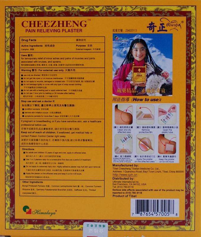 Cheezheng Pain Relieving Plaster - 5 plasters